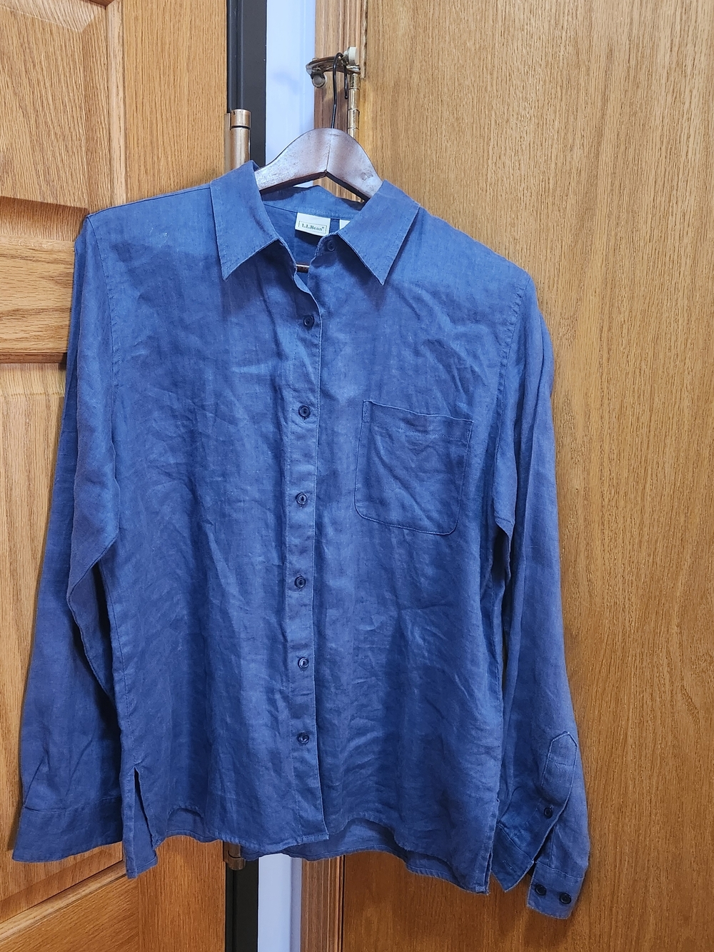 L.L. Bean Women's Casual Button-Down Shirt in Blue Size Large